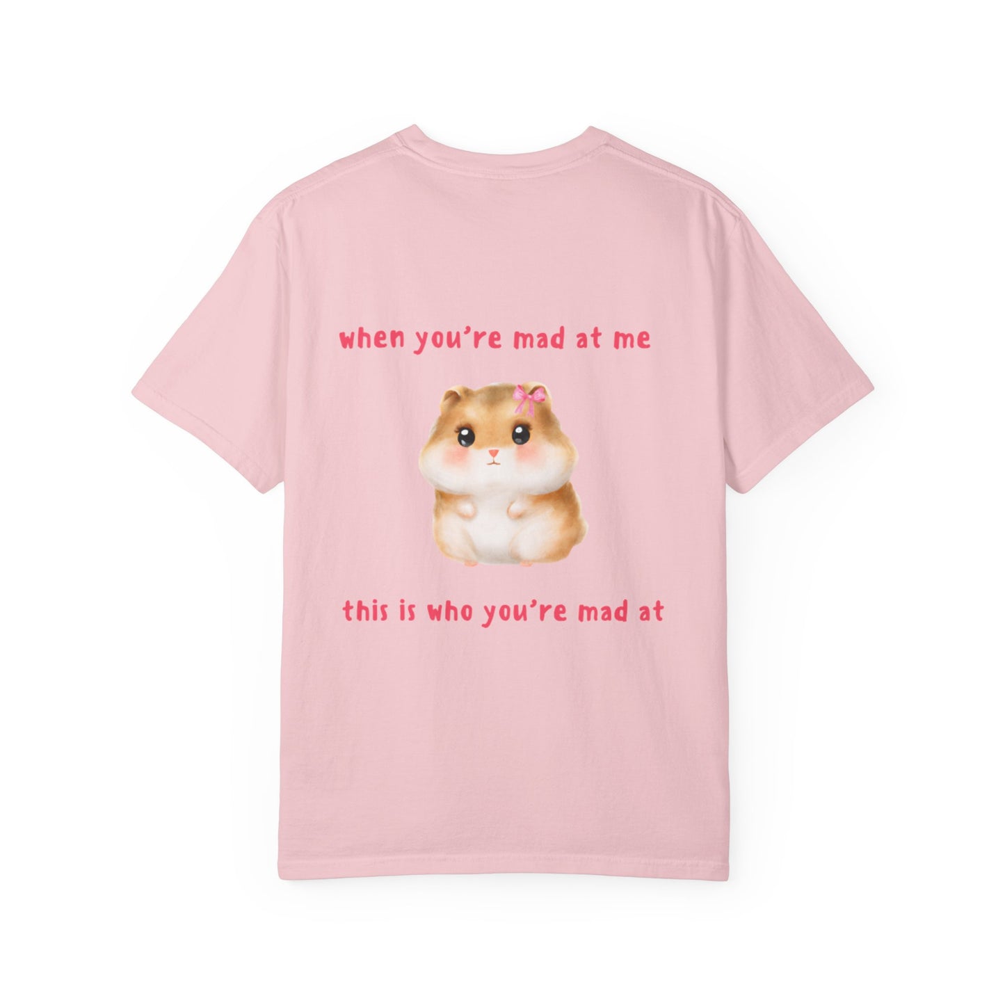 Funny Hamster "When You're Mad At Me This Is Who You're Mad At" T-Shirt