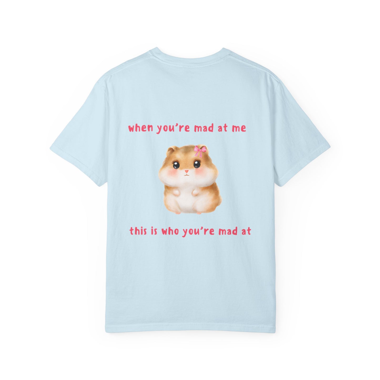 Funny Hamster "When You're Mad At Me This Is Who You're Mad At" T-Shirt